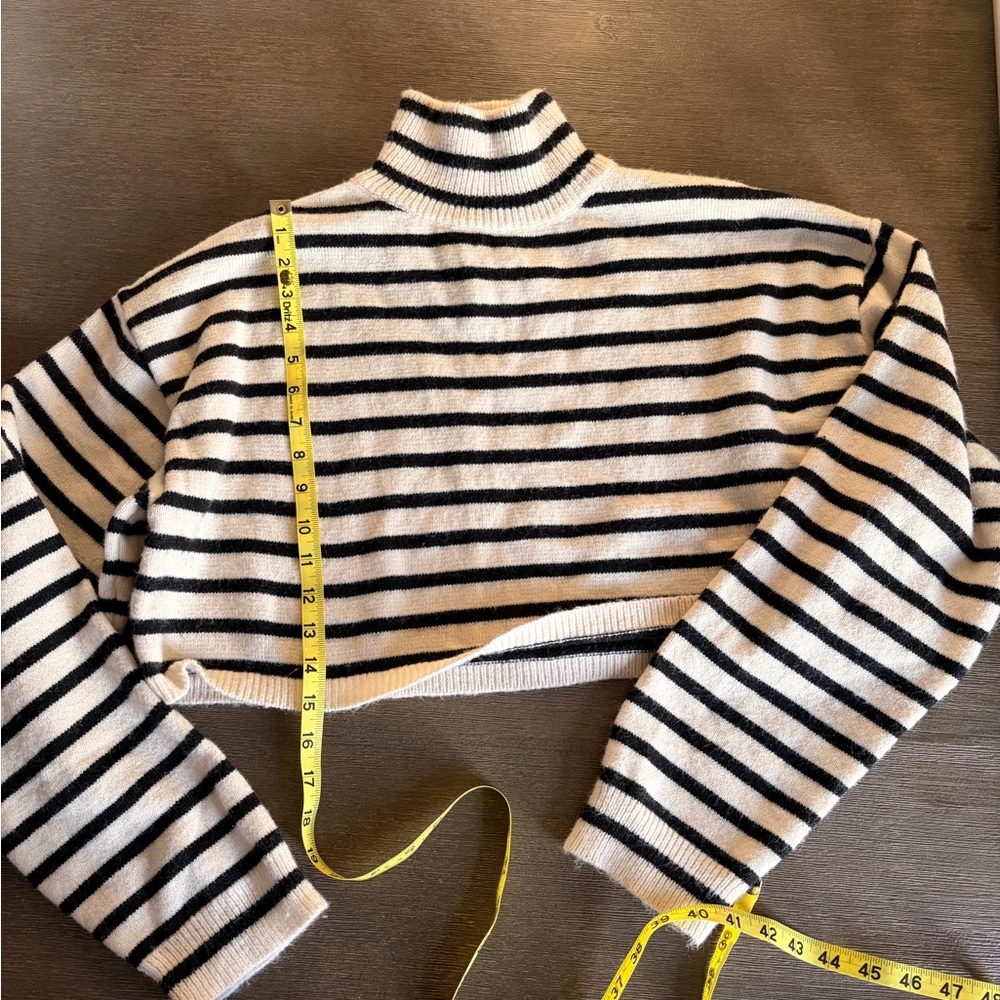 Cider Black and White Striped Turtleneck Sweater